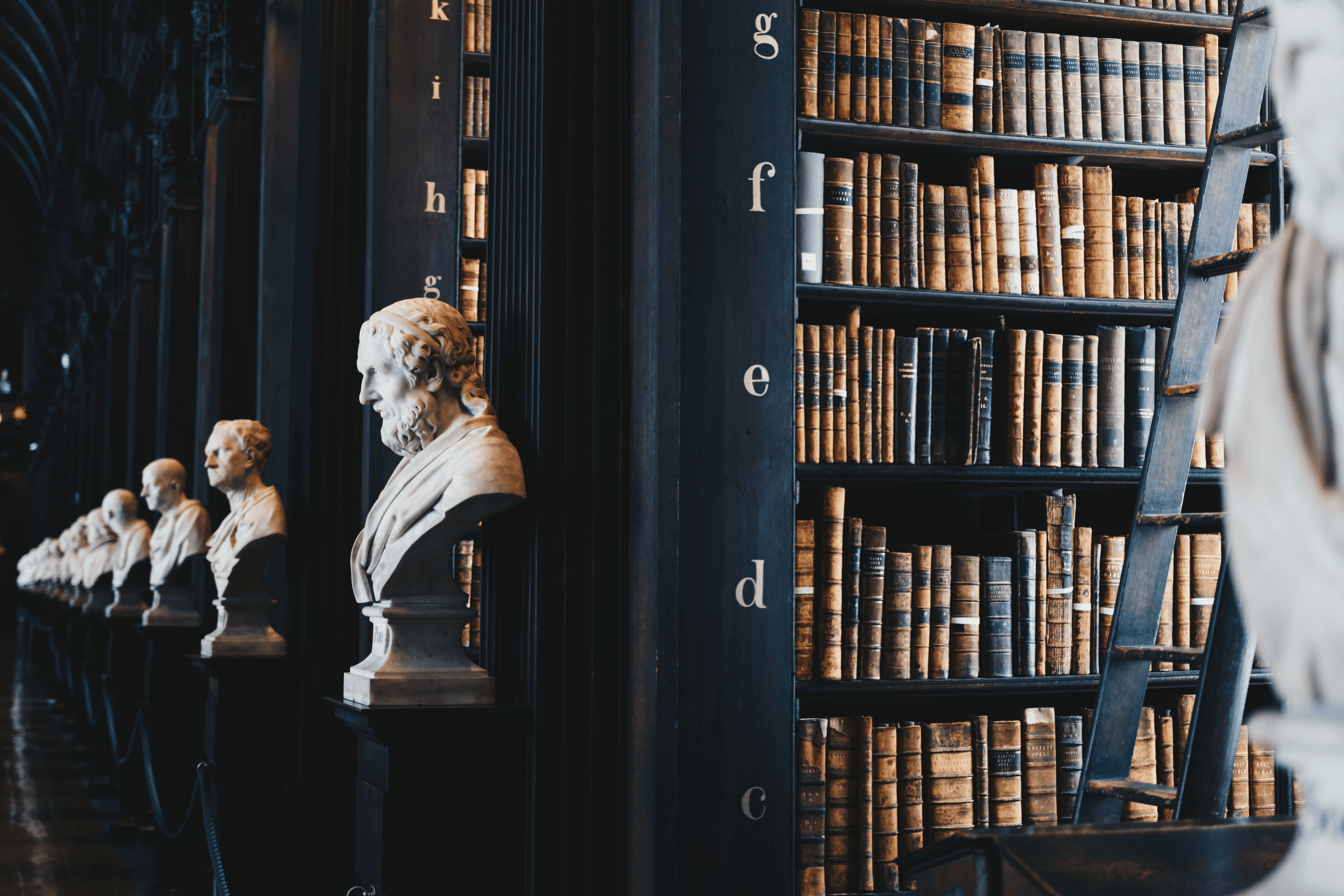 Historic law library with legal texts and classical busts