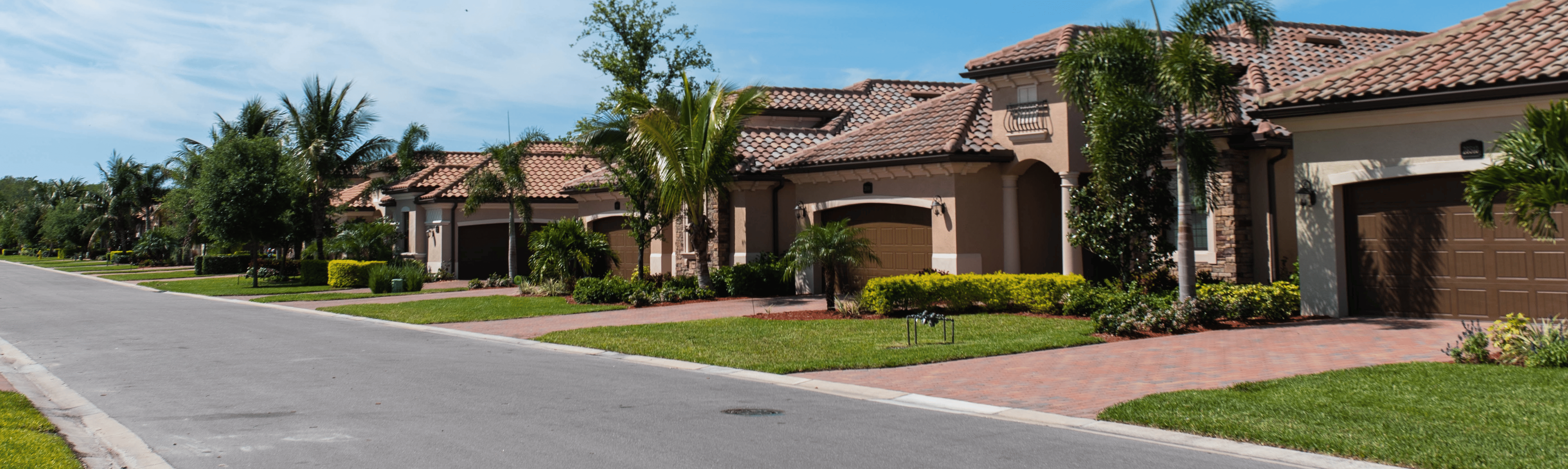 Landscaped residential properties along a quiet street